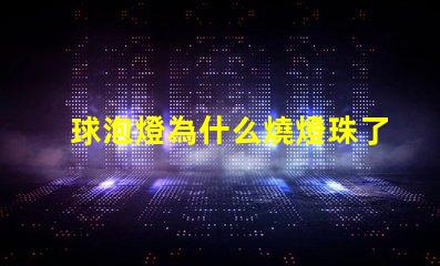 球泡燈為什么燒燈珠了 球泡燈為什么不耐用